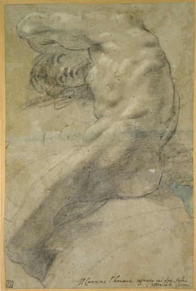 Studie eines nackten Mannes von Annibale Carracci